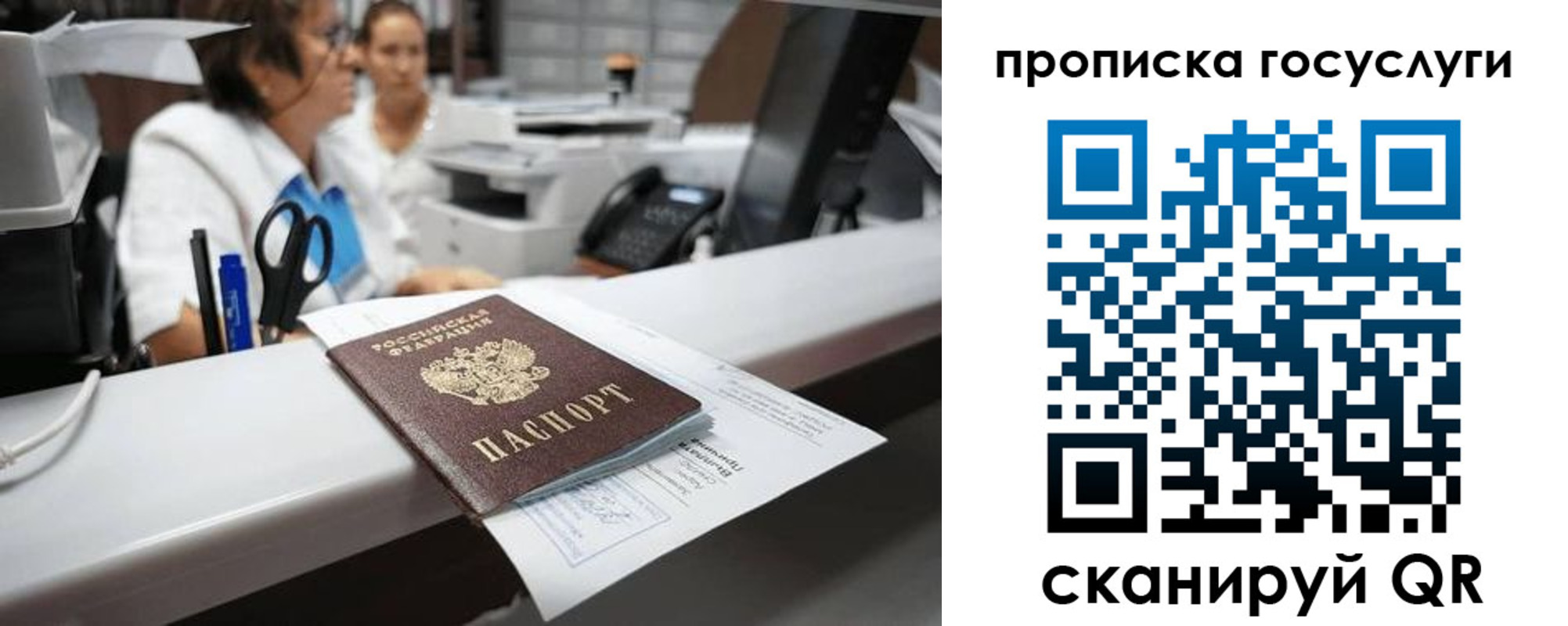 где прописаться в Борзе
